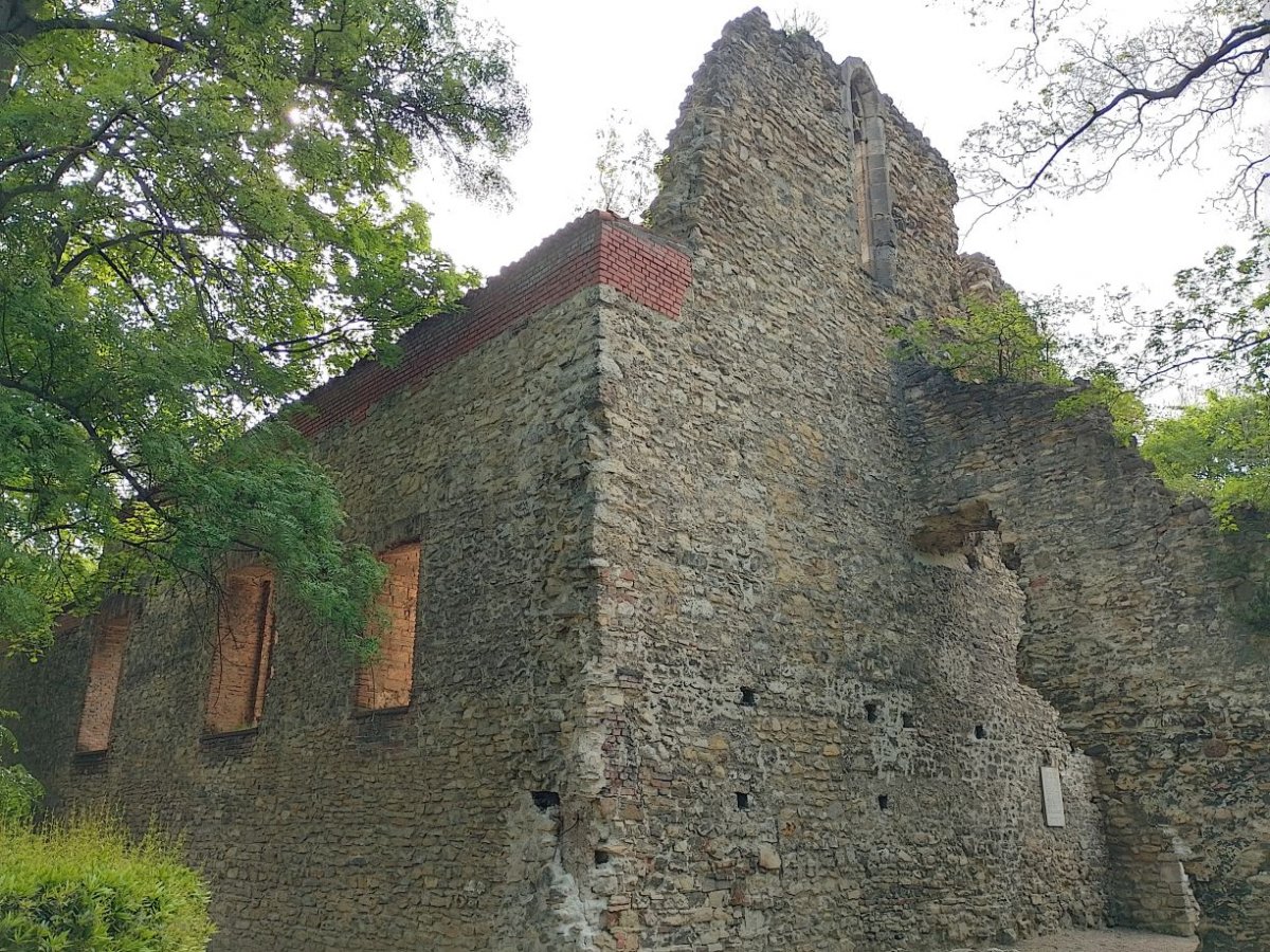 A margitszigeti ferences kolostor maradványai (Fotó: Bodó Péter/pestbuda.hu) 04 sziget.jpg