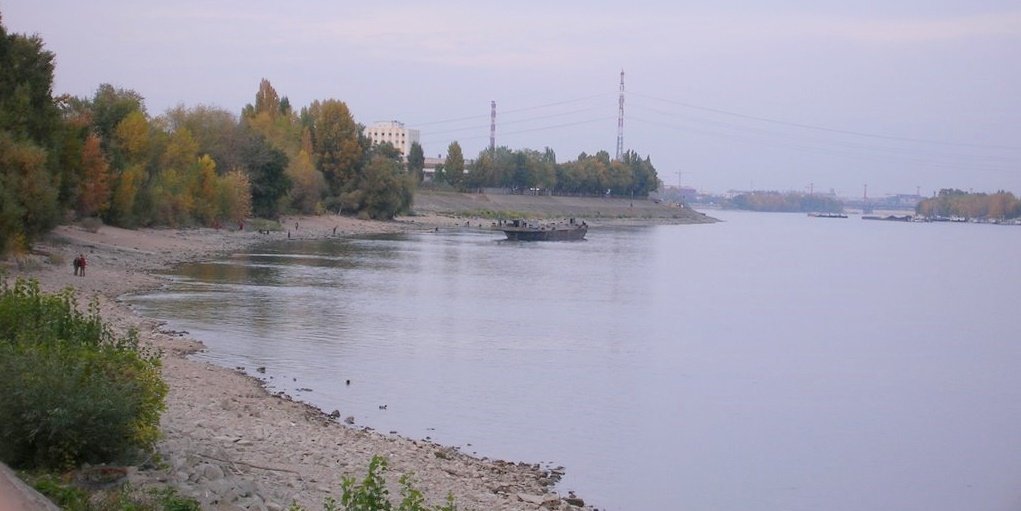 189122_arasztojpg.jpg