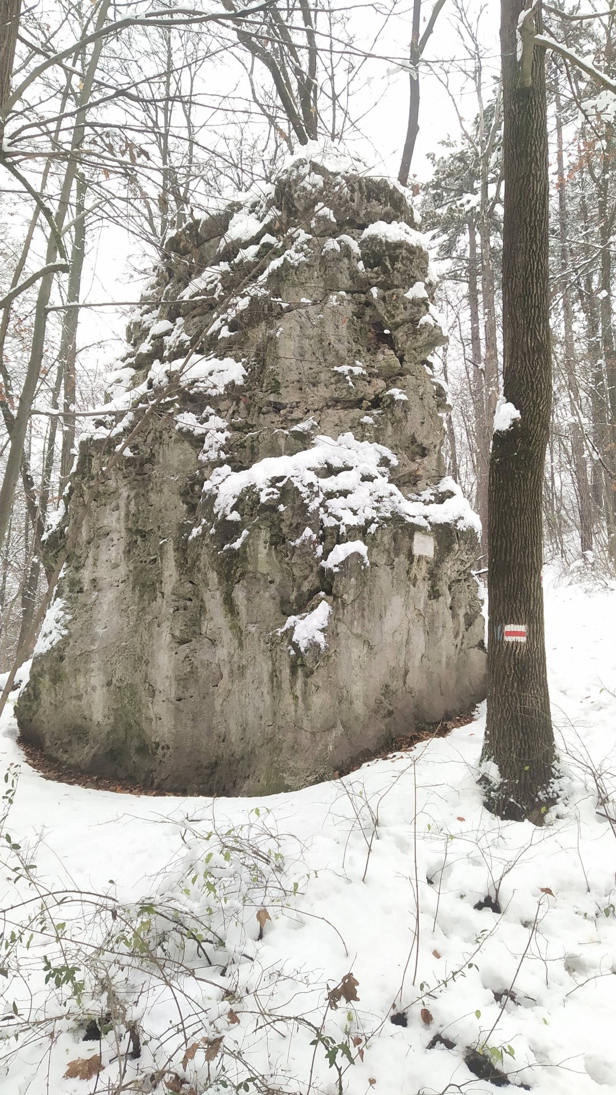 A Végvári- (Szent Mihály-) szikla (Fotó: Benyó Gergely/pestbuda.hu) 2.jpg