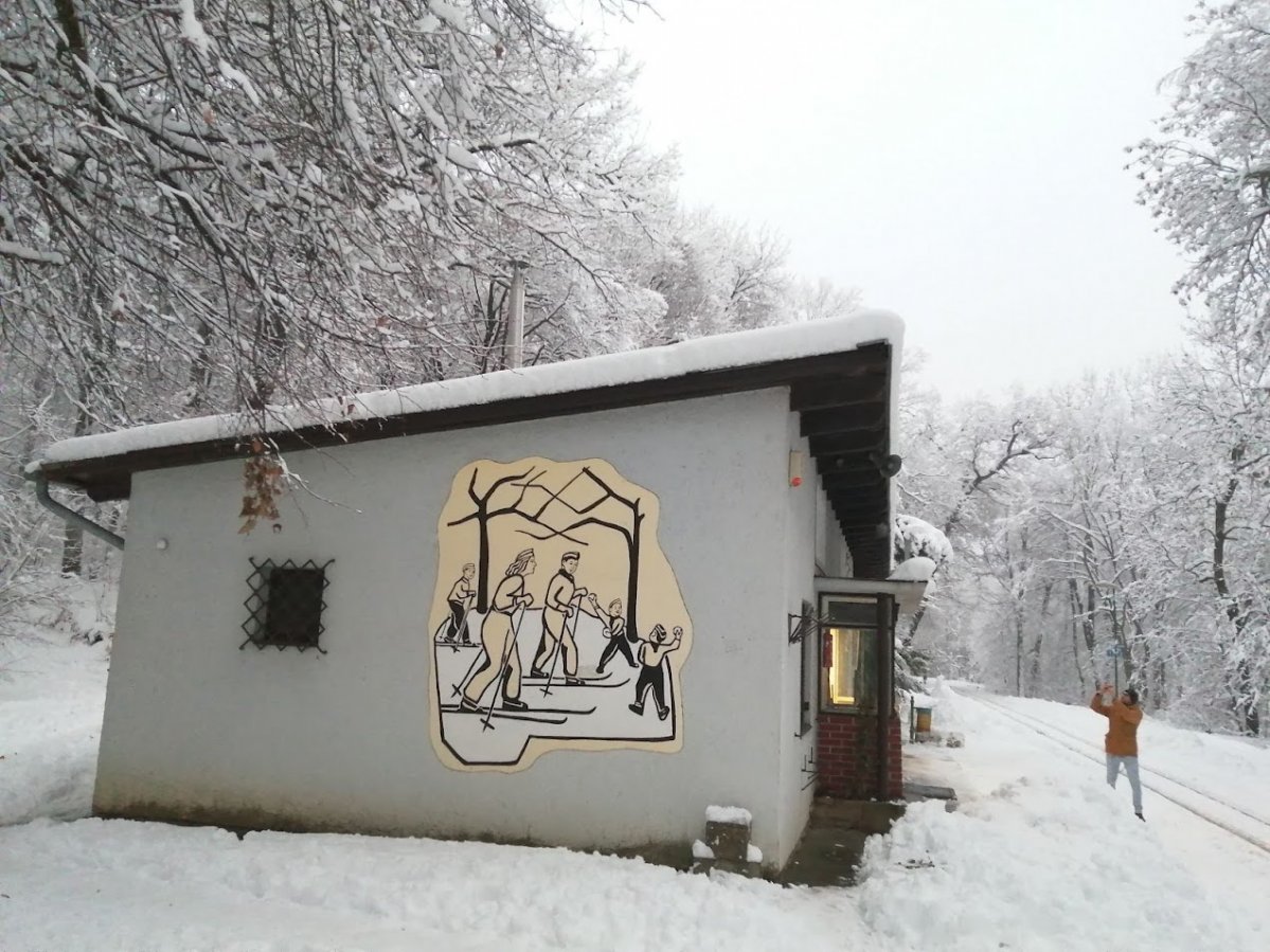 A Széchenyi-hegyi Gyermekvasút Virágvölgy állomása (Fotó: Benyó Gergely/pestbuda.hu) 18.jpg