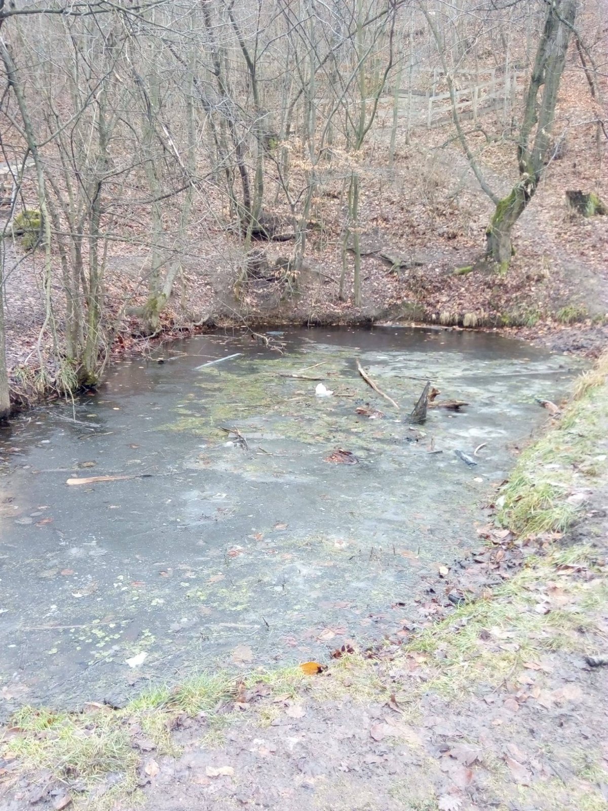 Ilyen lett volna a Béka-tó, ha nem sötétben érünk oda (Fotó: Facebook/Normafa Park) 23.jpg