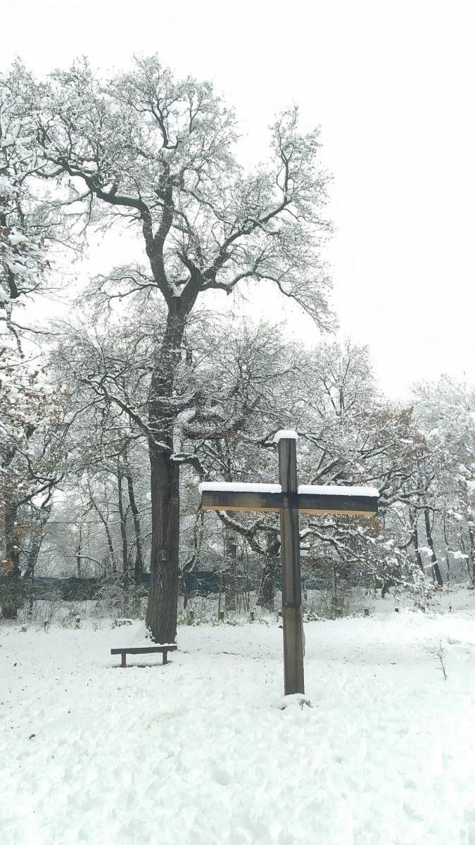Fa kereszt a Makkosi-réten, a kegytemplom közelében (Fotó: Benyó Gergely/pestbuda.hu) makkosmária2.jpg