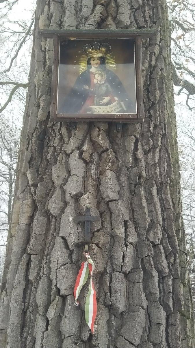 A híres Mária-kegykép másolata egy tölgyfán, a Makkosi-réten (Fotó: Benyó Gergely/pestbuda.hu) makkosmária1.jpg