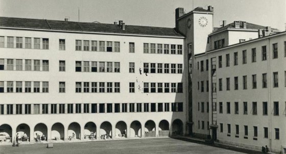 aea39e6e-077a-40d2-8828-60f4dd64a767 (1).jpg