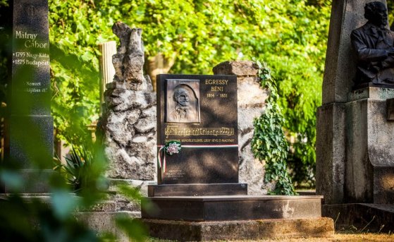 thumb_6066_default_big (1).jpg