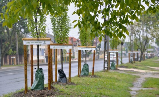 438759462_833034148856842_8775383394039204112_n (1).jpg