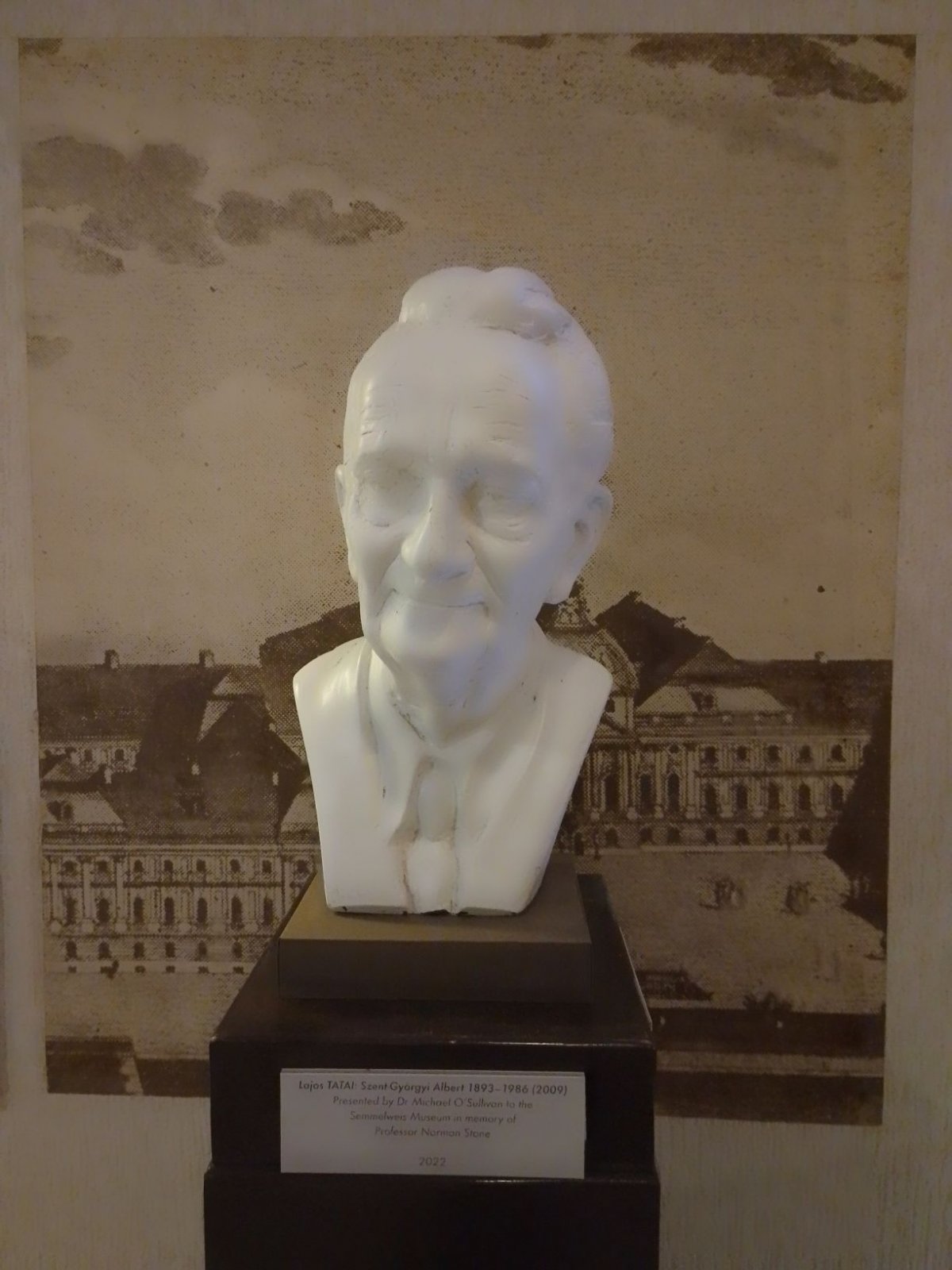 Tatai Lajos: Szent-Györgyi Albert szobra (Fotó: Bodó Péter/pestbuda.hu) 13 Szent.jpg