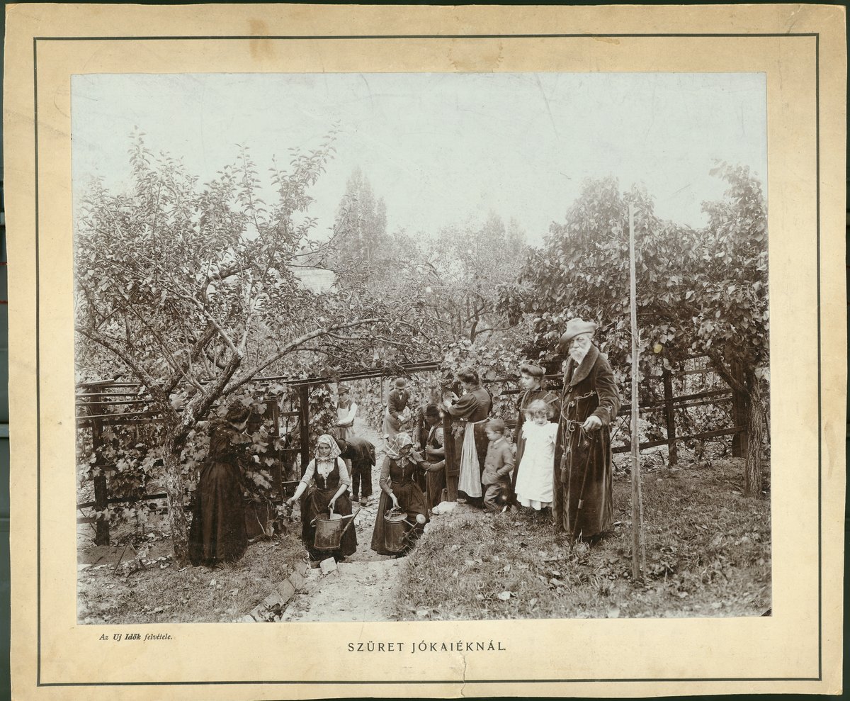 Szüret Jókai Mór svábhegyi villájának kertjében az 1800-as évek végén (Fotó: PIM) Jókai Mór szüret Svábhegy PIM.jpg