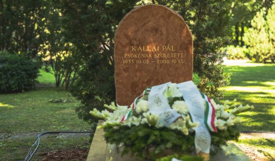 449787683_882085923960459_5827934822044499460_n (1).jpg