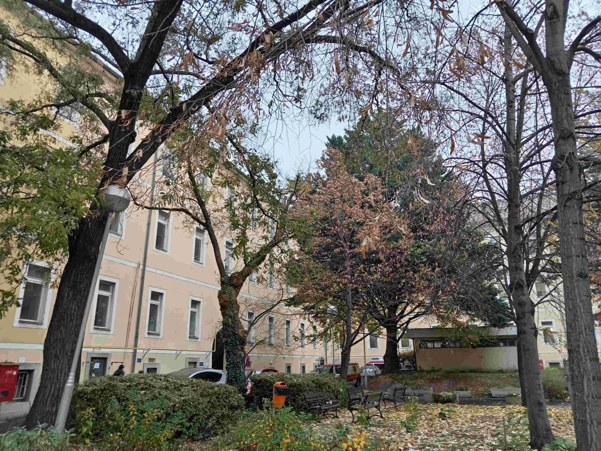 A Rókus kórház udvara (Fotó: Nagy László Bálint/pestbuda.hu) IMG_20241205_090344 (1).jpg