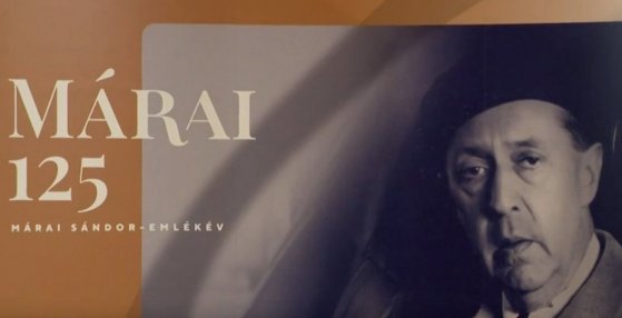 thumb_9099_default_big (1).jpg