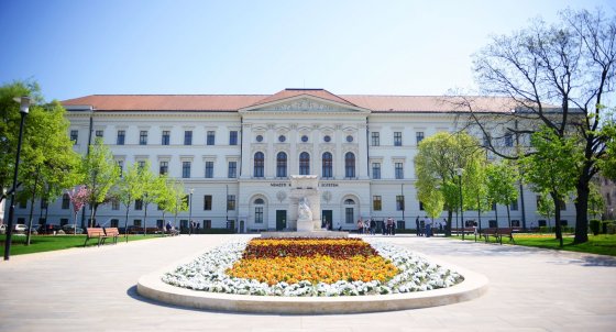 494906923_1104692475033135_1996335693292719360_n (1).jpg