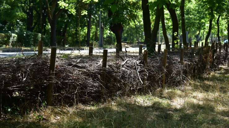 532450633_1170149071812013_8228644123936329790_n (1).jpg