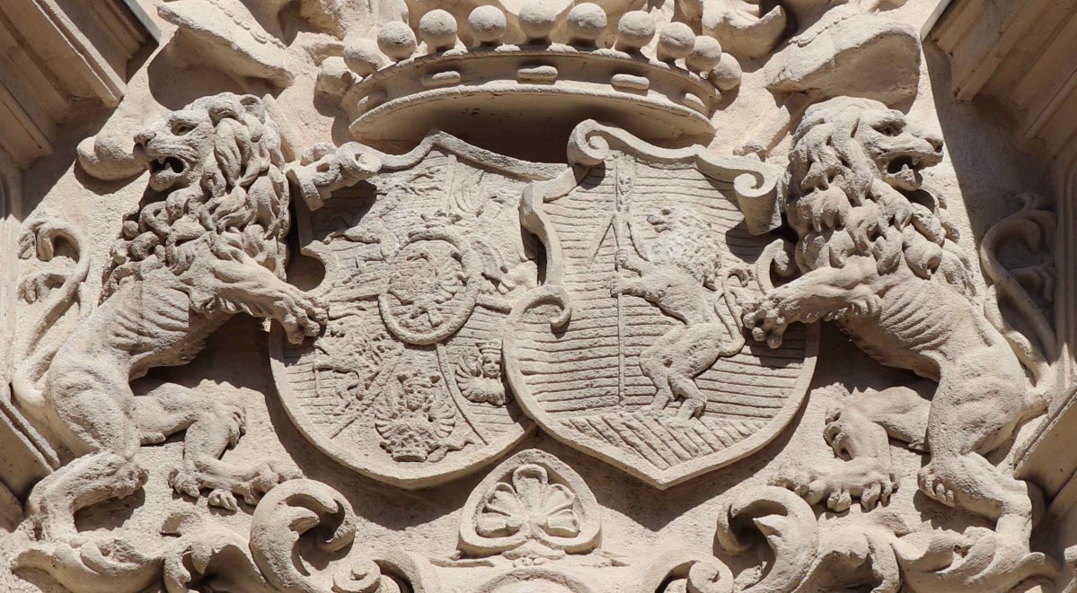 IMG_7745 pajzs_1.jpg