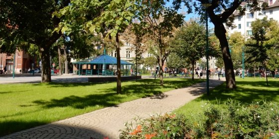 155412_ferenc_ter1.jpg