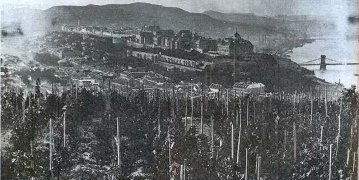 155996_szolo_gellerthegy.jpg