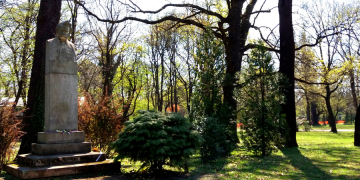 162068_arany1.png