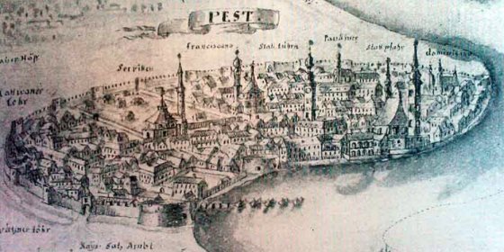 166036_pest1.jpg