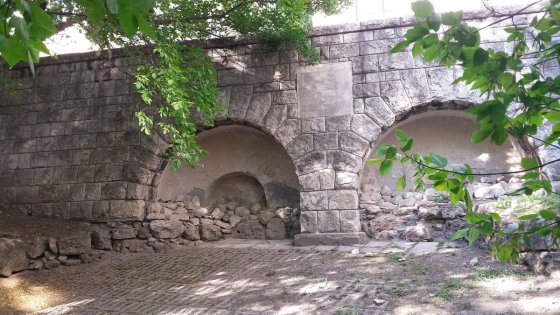 170478_logod1.jpg