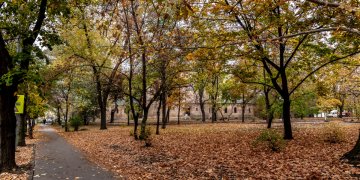 172199_hallerpark1.jpg
