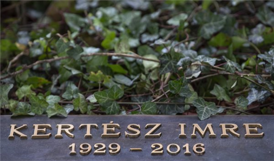 172335_kerteszimre2.png