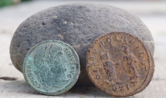 175420_limes2.jpg