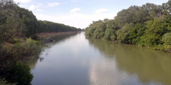 185054_2.jpg