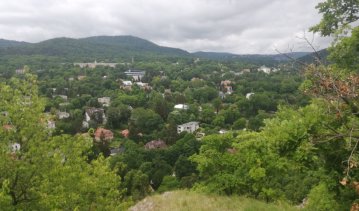 193184_ahuvnyito.jpg